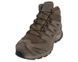 Ботинки Salomon XA Forces MID GTX Dark Earth